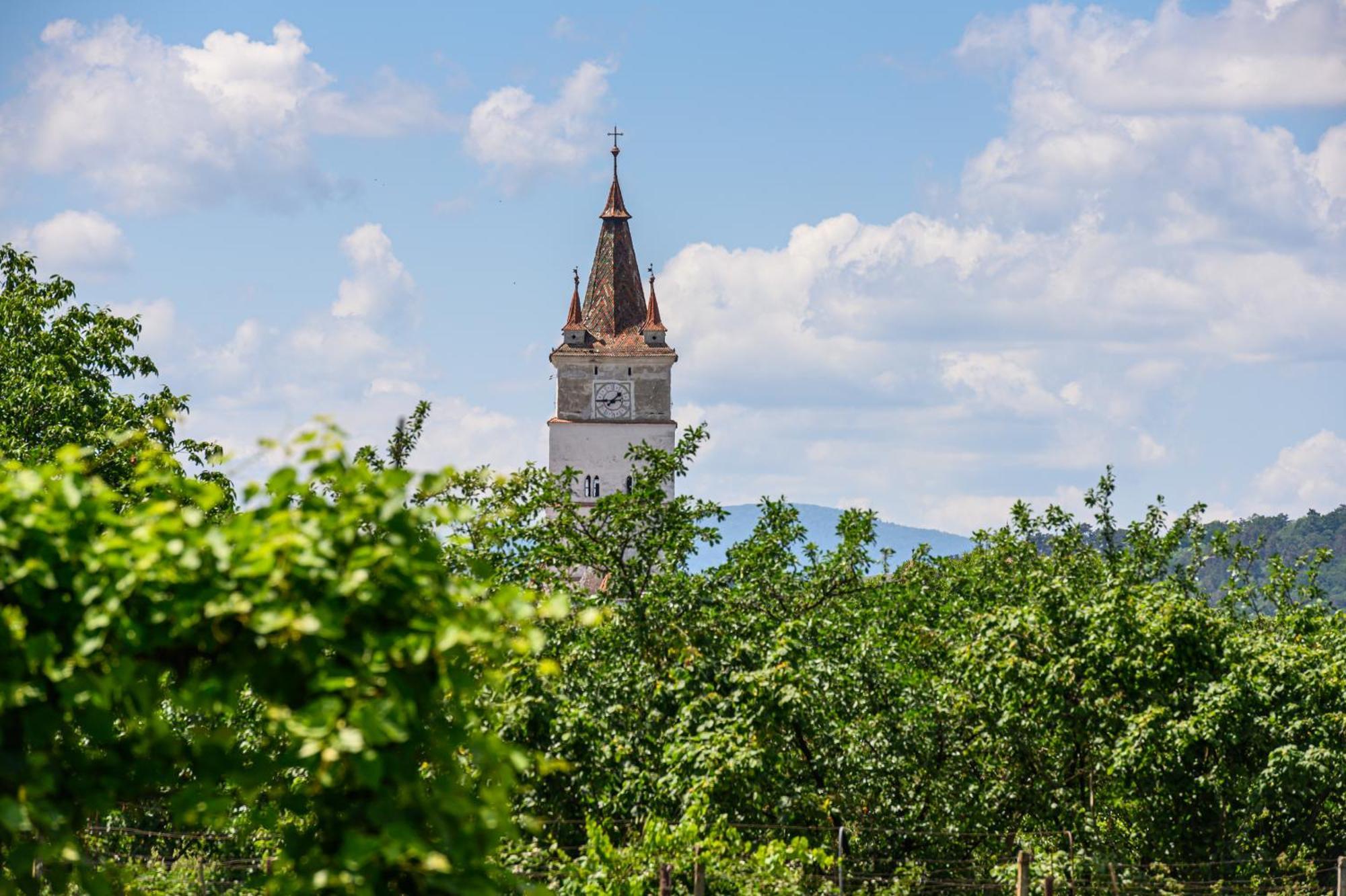 Pensiunea Roma Antica Hărman Buitenkant foto